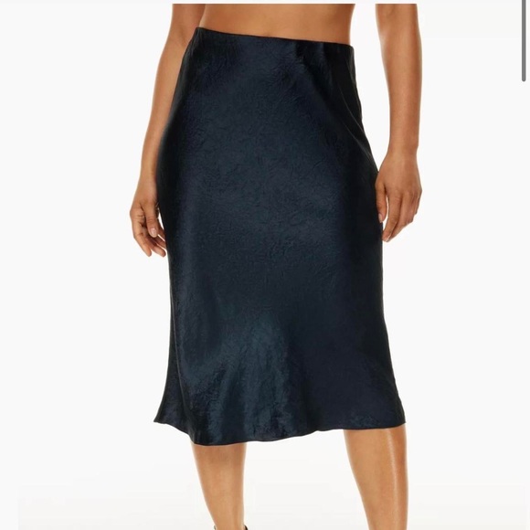 Aritzia midi skirt - Picture 3 of 5